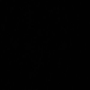 Meet your Posher, Hassan